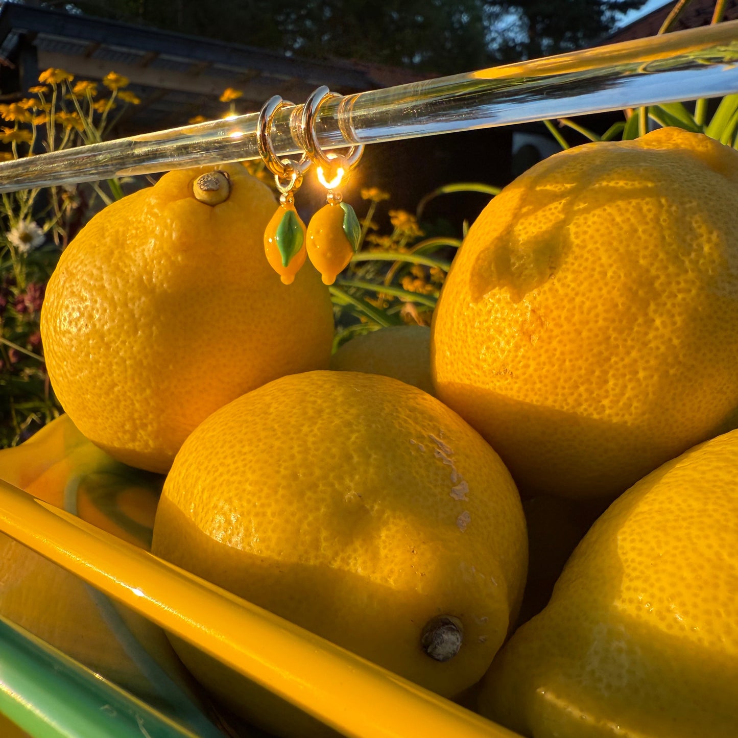 En frisk pust 🍋 Håndlagde sitroner