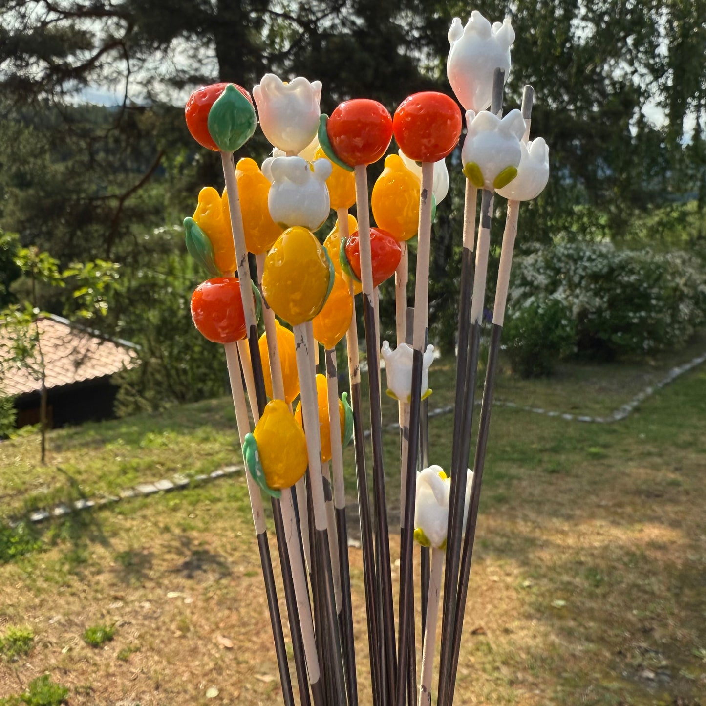 En frisk pust 🍋 Håndlagde sitroner