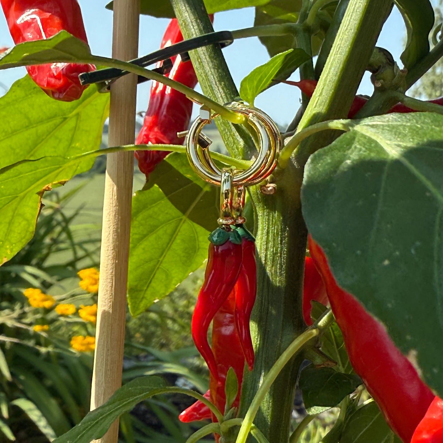 Chili i glass 🌶️  Et smykke med sting